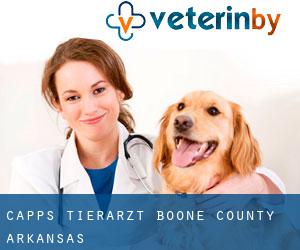 Capps tierarzt (Boone County, Arkansas)
