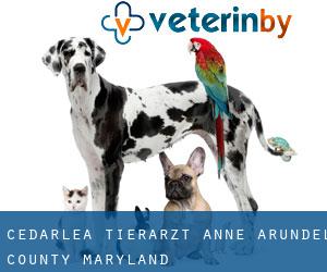 Cedarlea tierarzt (Anne Arundel County, Maryland)