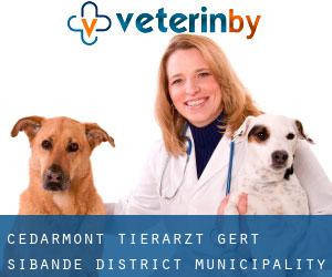Cedarmont tierarzt (Gert Sibande District Municipality, Mpumalanga)