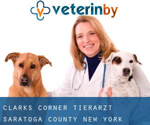 Clarks Corner tierarzt (Saratoga County, New York)