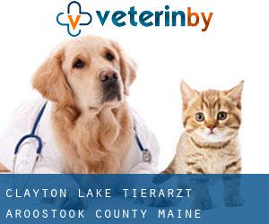 Clayton Lake tierarzt (Aroostook County, Maine)