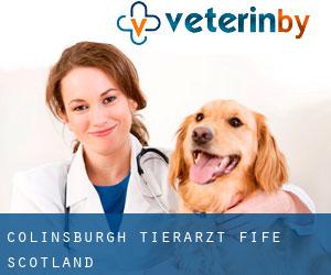 Colinsburgh tierarzt (Fife, Scotland)