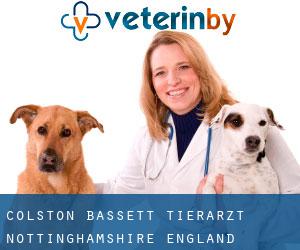 Colston Bassett tierarzt (Nottinghamshire, England)