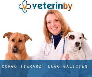 Corgo tierarzt (Lugo, Galicien)