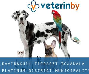 Davidskuil tierarzt (Bojanala Platinum District Municipality, North-West)