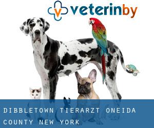 Dibbletown tierarzt (Oneida County, New York)