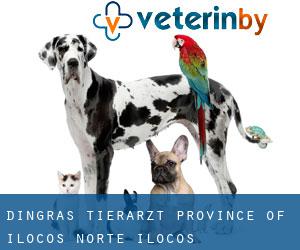 Dingras tierarzt (Province of Ilocos Norte, Ilocos)