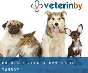 Dr. Black John J DVM (South Monroe)