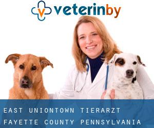 East Uniontown tierarzt (Fayette County, Pennsylvania)