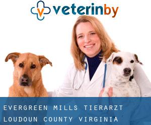 Evergreen Mills tierarzt (Loudoun County, Virginia)