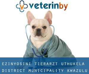 eZinyosini tierarzt (uThukela District Municipality, KwaZulu-Natal)