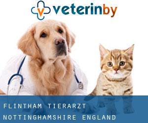 Flintham tierarzt (Nottinghamshire, England)