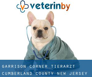 Garrison Corner tierarzt (Cumberland County, New Jersey)