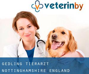 Gedling tierarzt (Nottinghamshire, England)