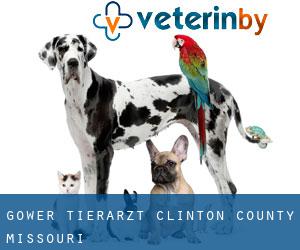 Gower tierarzt (Clinton County, Missouri)