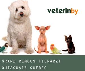 Grand-Remous tierarzt (Outaouais, Quebec)