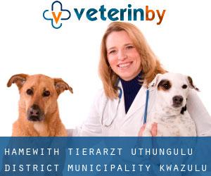 Hamewith tierarzt (uThungulu District Municipality, KwaZulu-Natal)