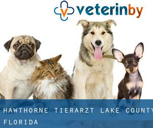 Hawthorne tierarzt (Lake County, Florida)