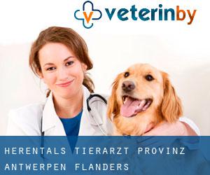 Herentals tierarzt (Provinz Antwerpen, Flanders)