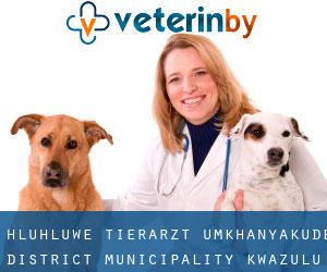 Hluhluwe tierarzt (uMkhanyakude District Municipality, KwaZulu-Natal)