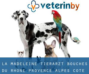 La Madeleine tierarzt (Bouches-du-Rhône, Provence-Alpes-Côte d'Azur)