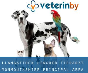 Llangattock Lingoed tierarzt (Monmouthshire principal area, Wales)