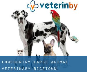 Lowcountry Large Animal Veterinary (Ricetown)