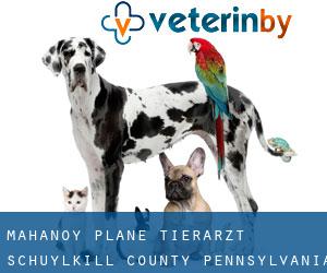 Mahanoy Plane tierarzt (Schuylkill County, Pennsylvania)