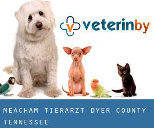 Meacham tierarzt (Dyer County, Tennessee)