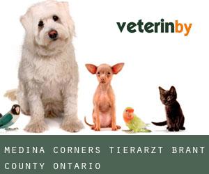 Medina Corners tierarzt (Brant County, Ontario)
