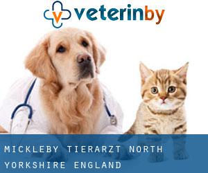 Mickleby tierarzt (North Yorkshire, England)