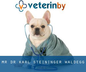 Mr. Dr. Karl Steininger (Waldegg)