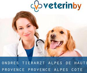 Ondres tierarzt (Alpes-de-Haute-Provence, Provence-Alpes-Côte d'Azur)