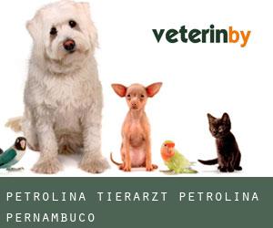 Petrolina tierarzt (Petrolina, Pernambuco)