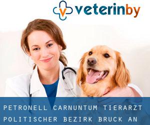 Petronell-Carnuntum tierarzt (Politischer Bezirk Bruck an der Leitha, Niederösterreich)