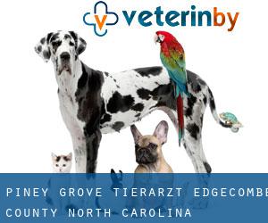 Piney Grove tierarzt (Edgecombe County, North Carolina)