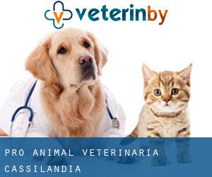 Pro Animal Veterinária (Cassilândia)