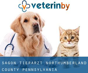 Sagon tierarzt (Northumberland County, Pennsylvania)