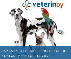 Saysain tierarzt (Province of Bataan, Central Luzon)