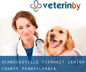 Schnecksville tierarzt (Lehigh County, Pennsylvania)