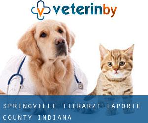 Springville tierarzt (LaPorte County, Indiana)