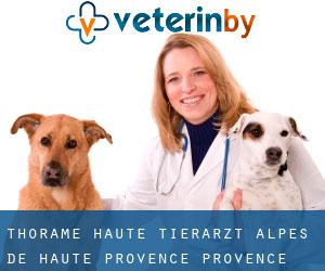 Thorame-Haute tierarzt (Alpes-de-Haute-Provence, Provence-Alpes-Côte d'Azur)