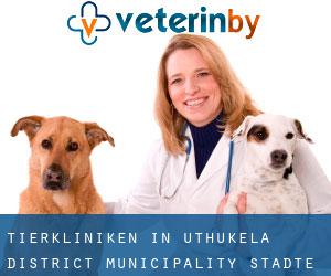 tierkliniken in uThukela District Municipality (Städte) - Seite 3