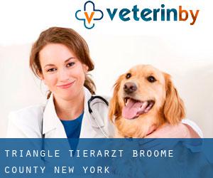 Triangle tierarzt (Broome County, New York)