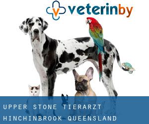 Upper Stone tierarzt (Hinchinbrook, Queensland)