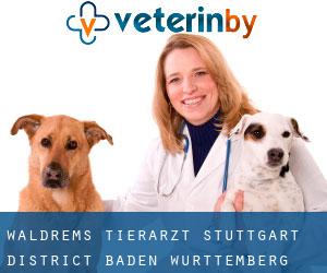 Waldrems tierarzt (Stuttgart District, Baden-Württemberg)