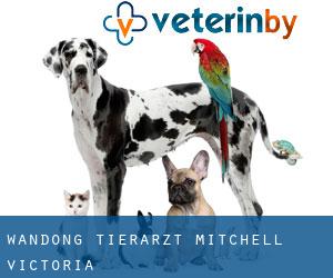 Wandong tierarzt (Mitchell, Victoria)