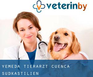 Yémeda tierarzt (Cuenca, Südkastilien)