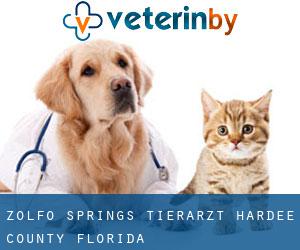 Zolfo Springs tierarzt (Hardee County, Florida)